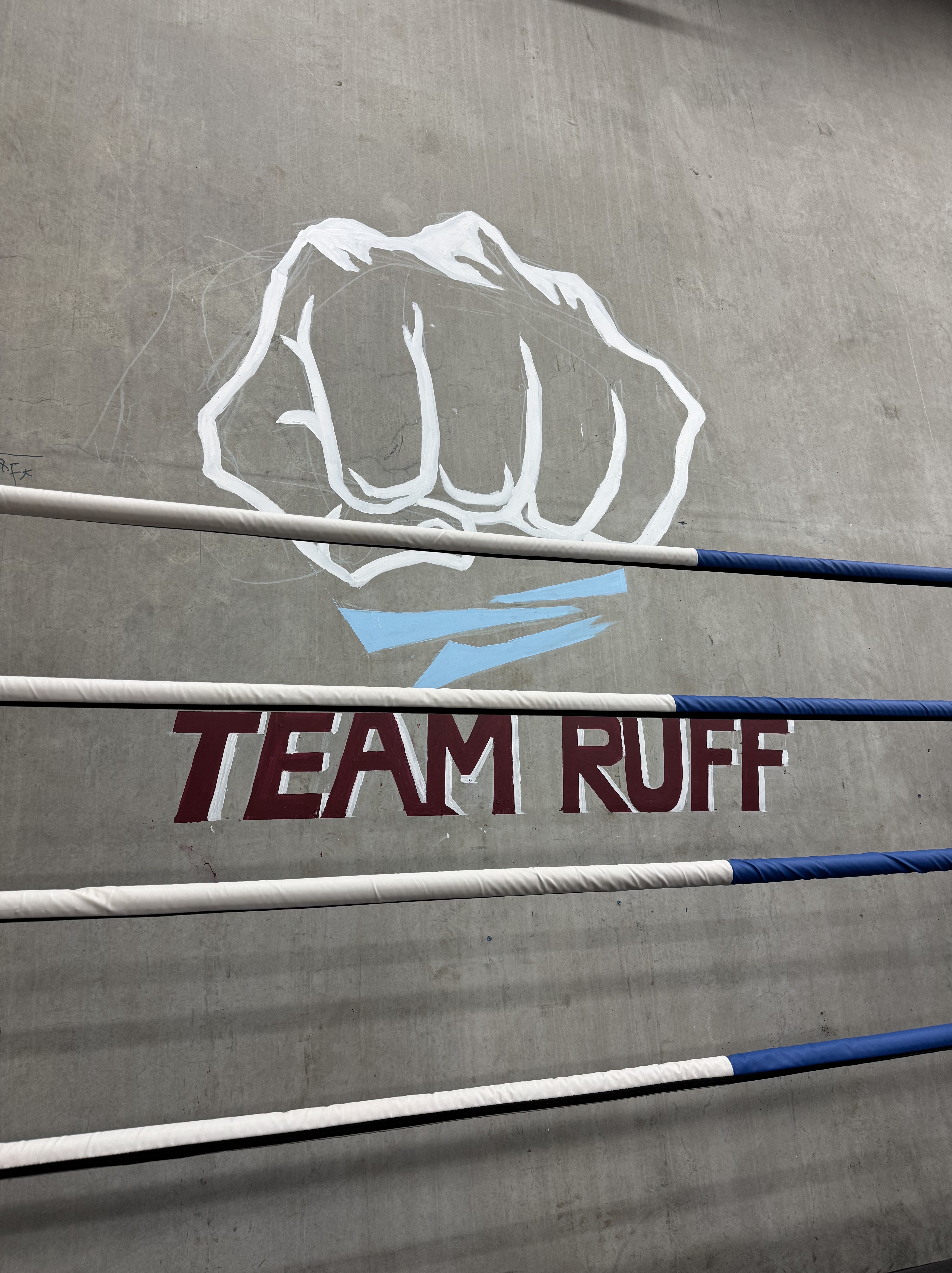 A group of ropes and a logo on a concrete wall, with the logo stylized to resemble a fist and the words "Team Ruff" below it.